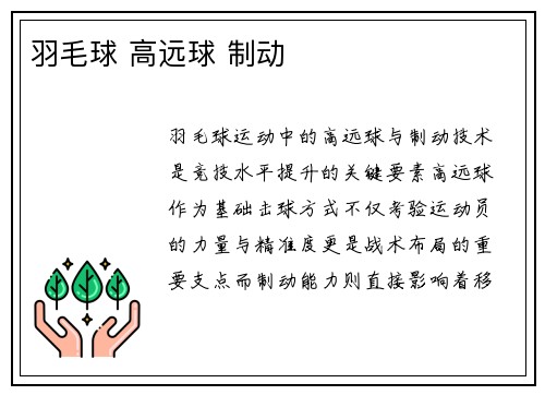 羽毛球 高远球 制动
