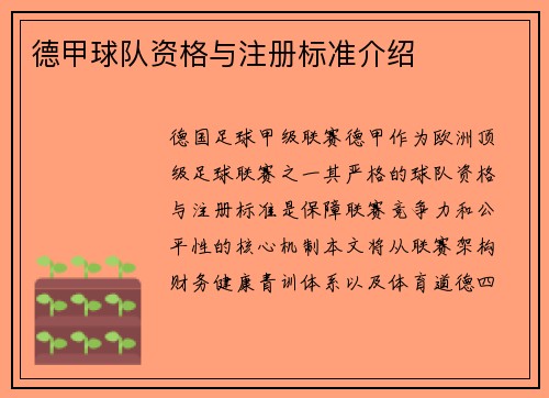 德甲球队资格与注册标准介绍