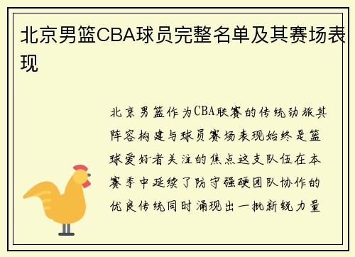 北京男篮CBA球员完整名单及其赛场表现