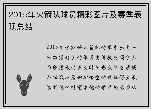 2015年火箭队球员精彩图片及赛季表现总结