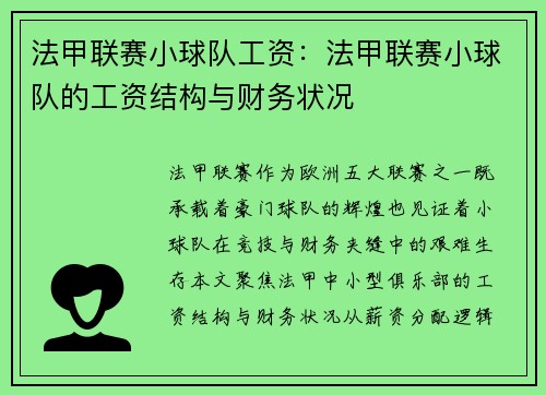 法甲联赛小球队工资：法甲联赛小球队的工资结构与财务状况